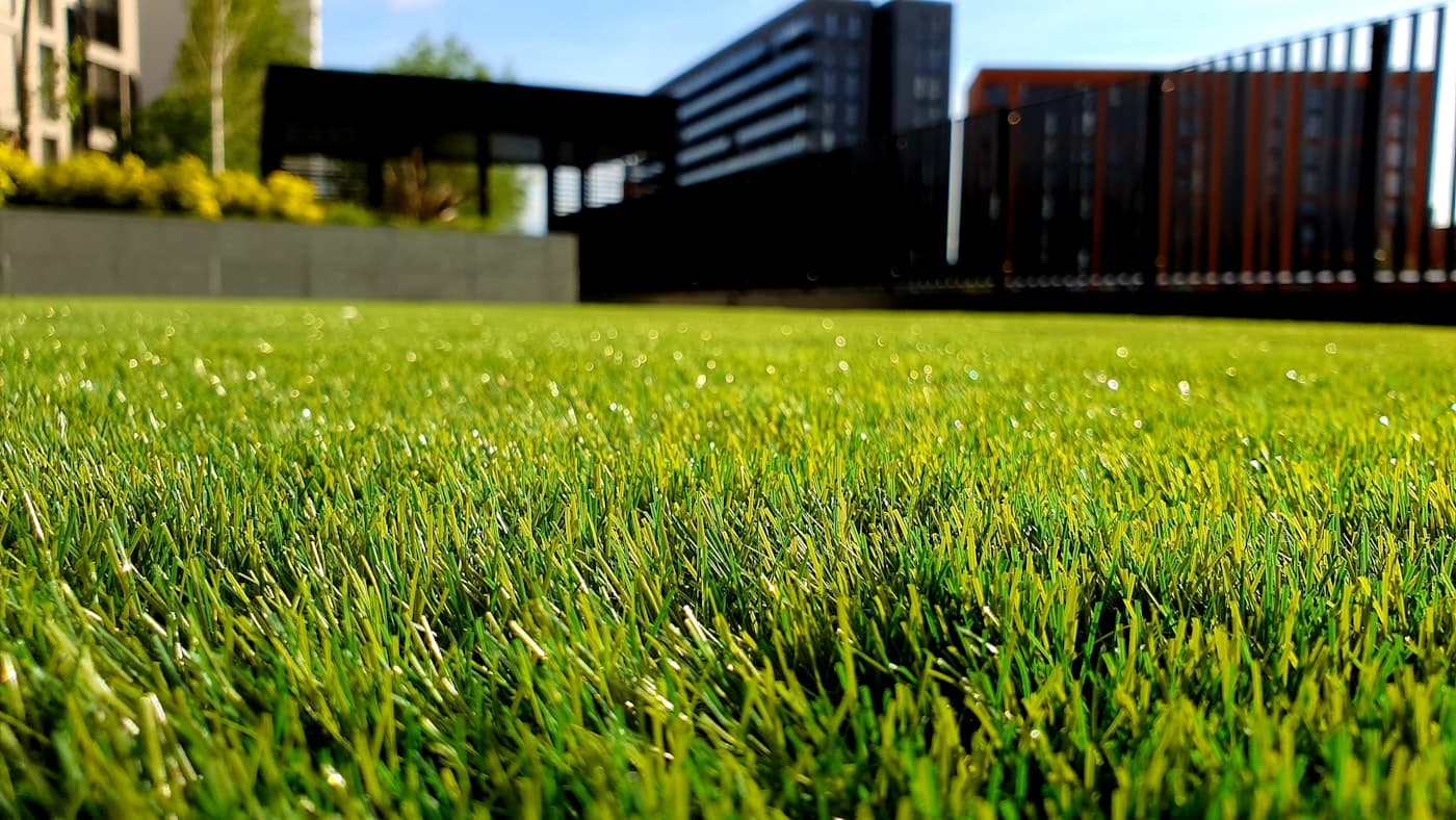 Close-up of thick, healthy green turf