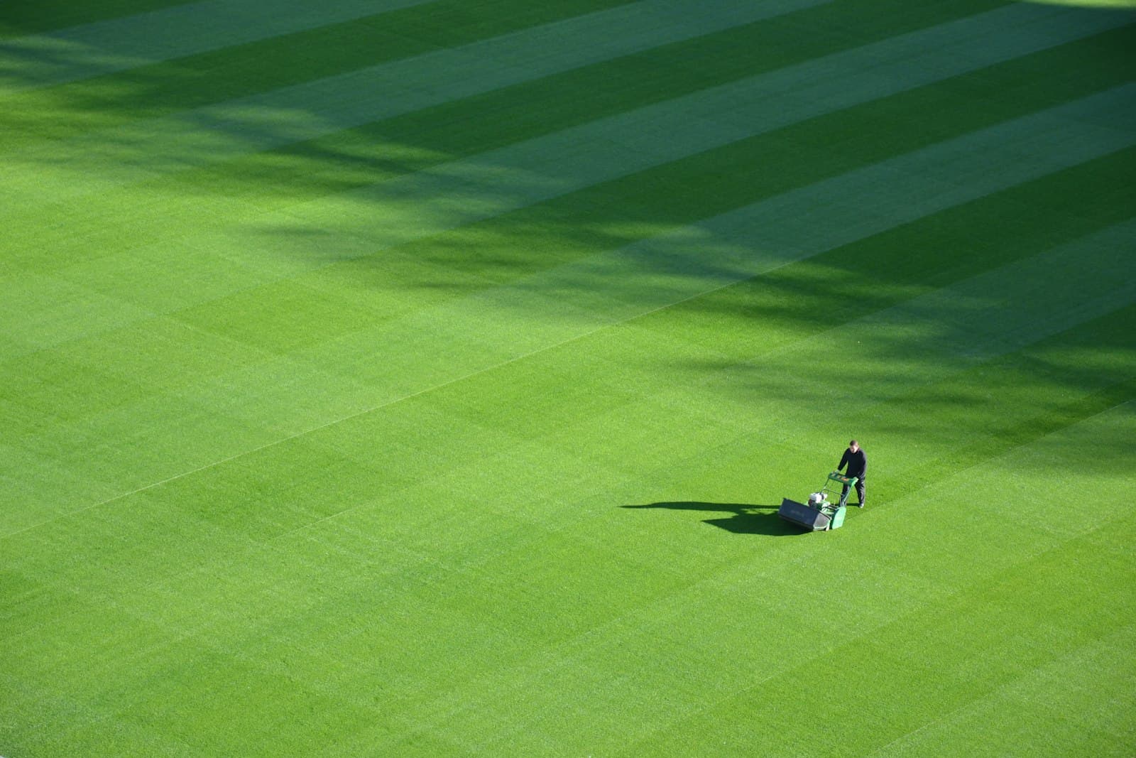 Aerial view of a lawn cut in clean, precise stripes